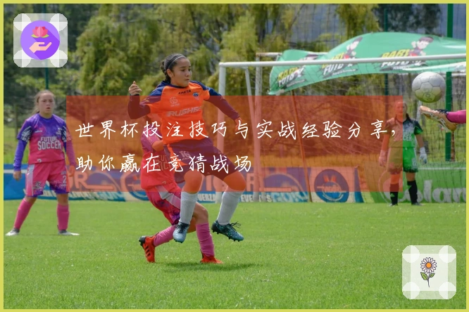 世界杯投注技巧与实战经验分享，助你赢在竞猜战场