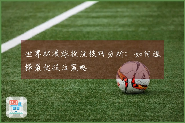 世界杯滚球投注技巧分析：如何选择最优投注策略