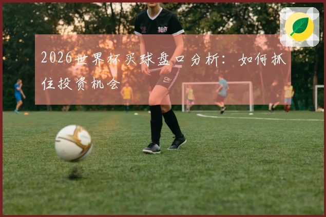 2026世界杯买球盘口分析：如何抓住投资机会