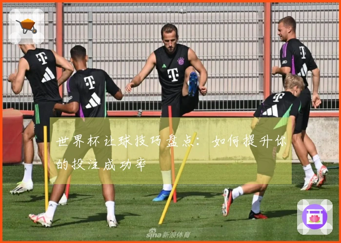 世界杯让球技巧盘点：如何提升你的投注成功率