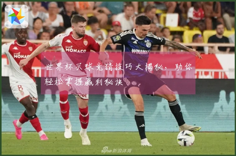 世界杯买球竞猜技巧大揭秘，助你轻松掌握赢利秘诀