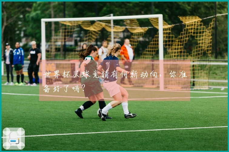 世界杯买球竞猜有何新动向，你准备好了吗？