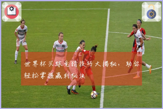 世界杯买球竞猜技巧大揭秘，助你轻松掌握赢利秘诀