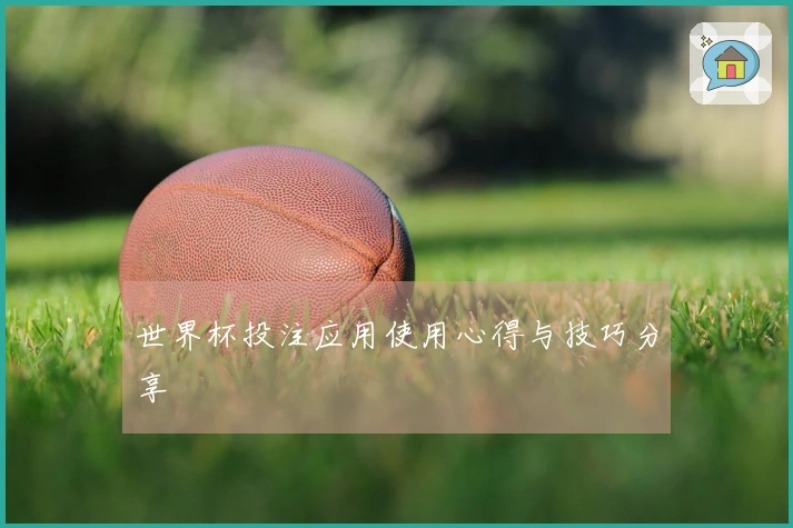 世界杯投注应用使用心得与技巧分享