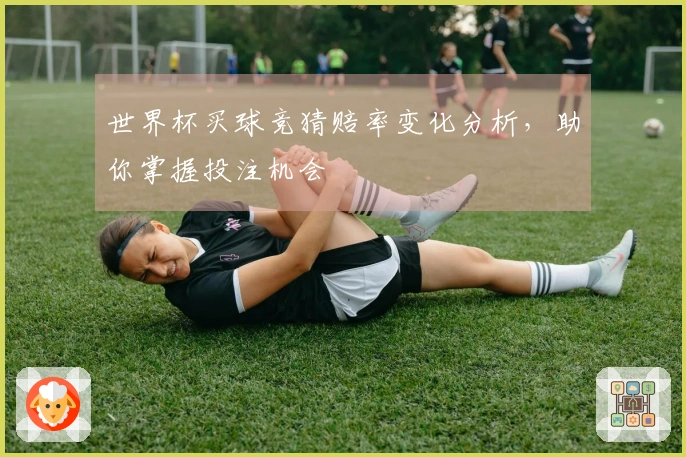 世界杯买球竞猜赔率变化分析，助你掌握投注机会