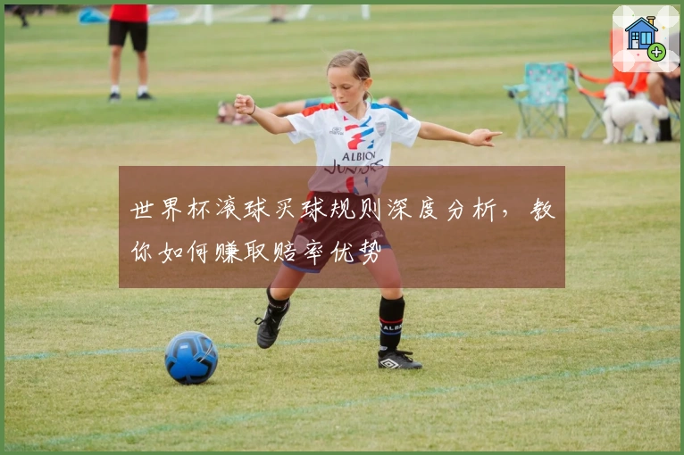 世界杯滚球买球规则深度分析，教你如何赚取赔率优势